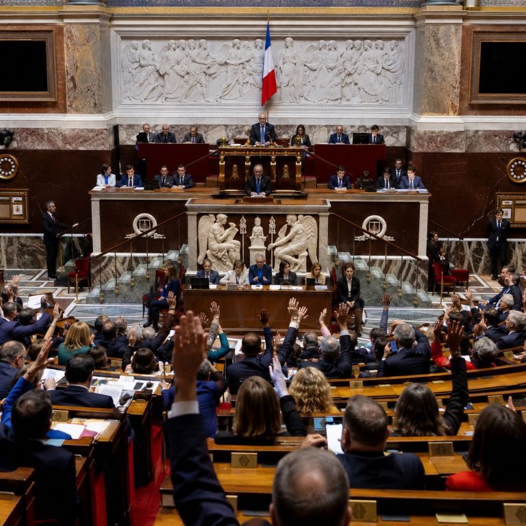 Fin de vie : Mesdames et Messieurs les députés, aurez-vous le courage d’administrer vous-mêmes la mort que vous votez ?